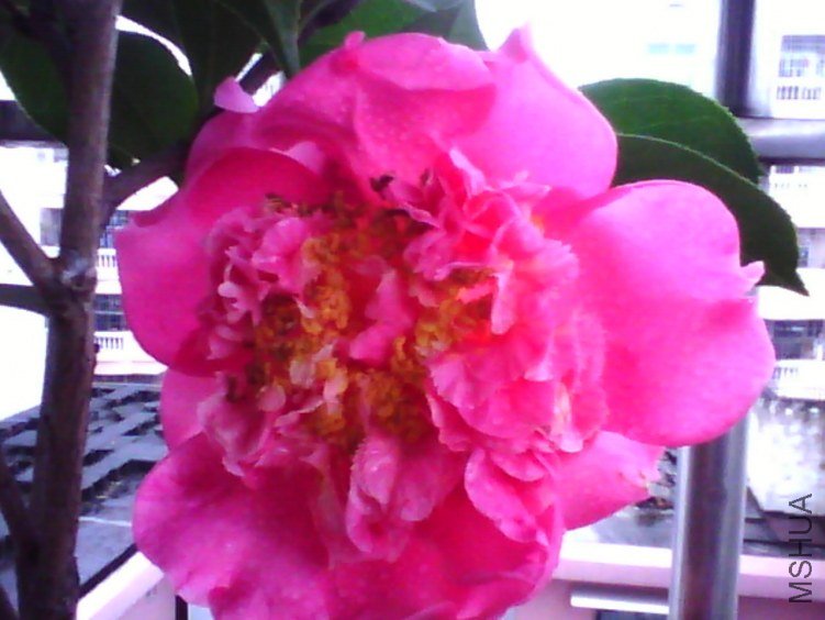 image20120306_125939.jpg