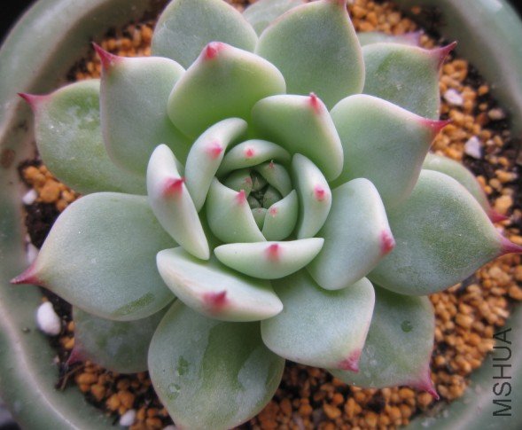 QQ��ͼ20120310161002.jpg