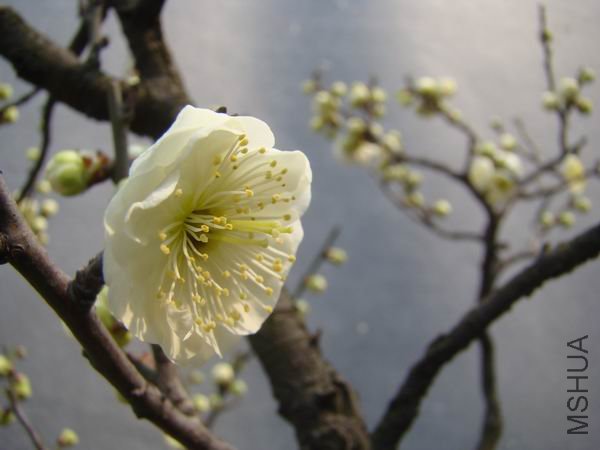 DSC00049.jpg
