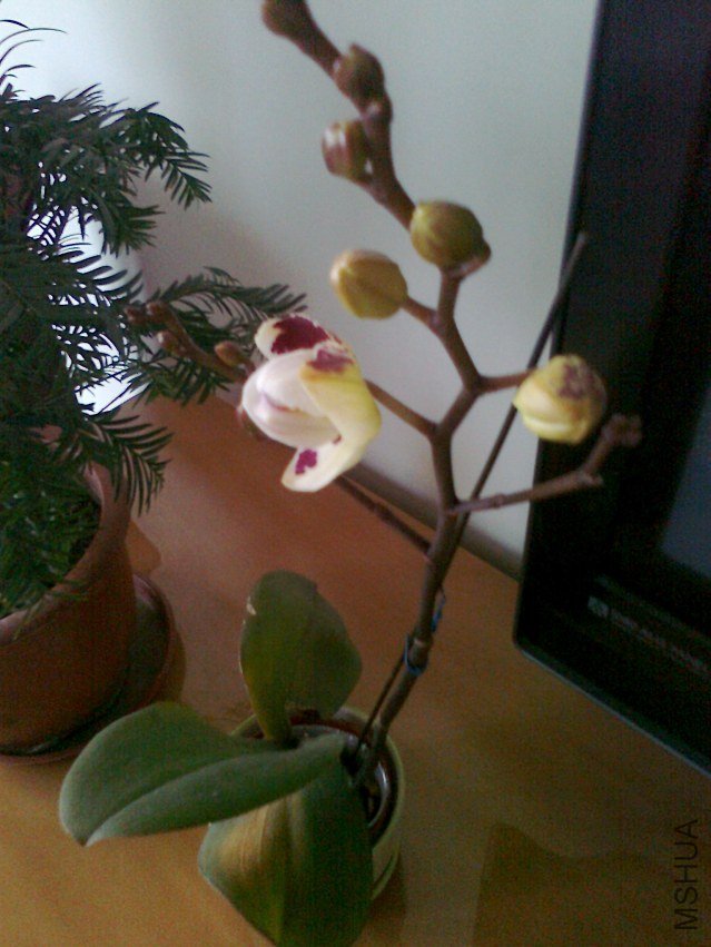 ��Ƭ0308.jpg
