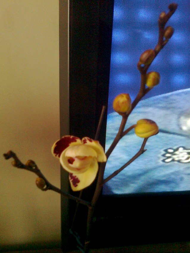 ��Ƭ0305.jpg