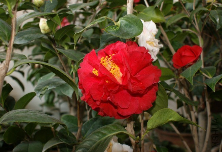 QQ��ͼ20120310210324.jpg