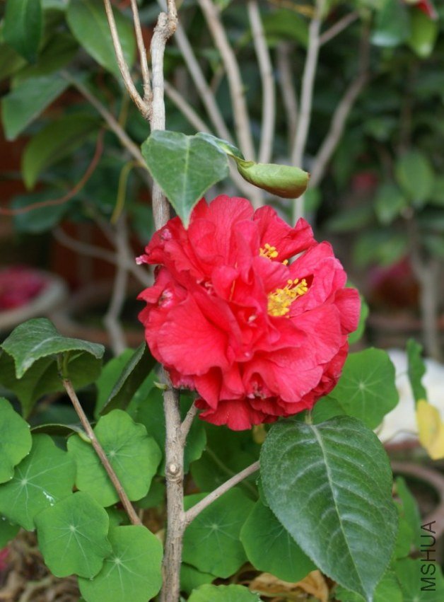 QQ��ͼ20120310210419.jpg