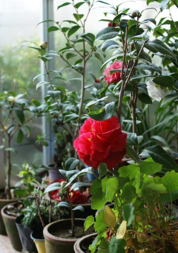 QQ��ͼ20120310210435.jpg