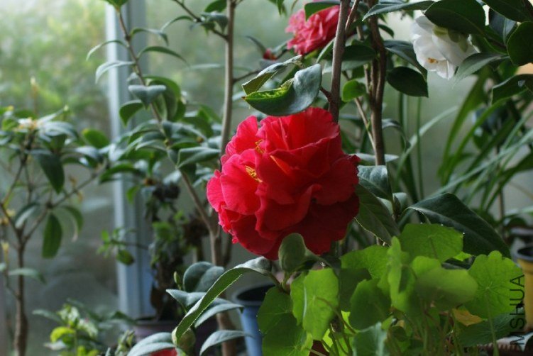 QQ��ͼ20120310210451.jpg