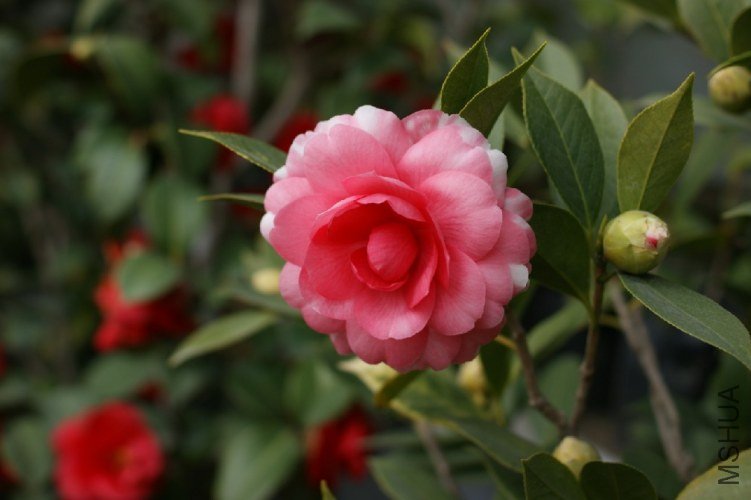 QQ��ͼ20120310210814.jpg