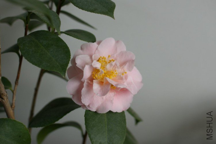 QQ��ͼ20120310210849.jpg