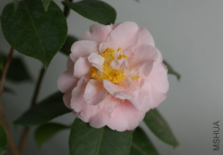 QQ��ͼ20120310210946.jpg