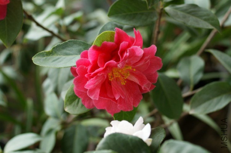 QQ��ͼ20120310211405.jpg
