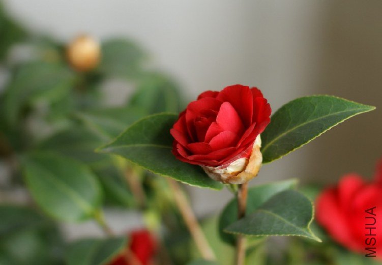 QQ��ͼ20120310211541.jpg