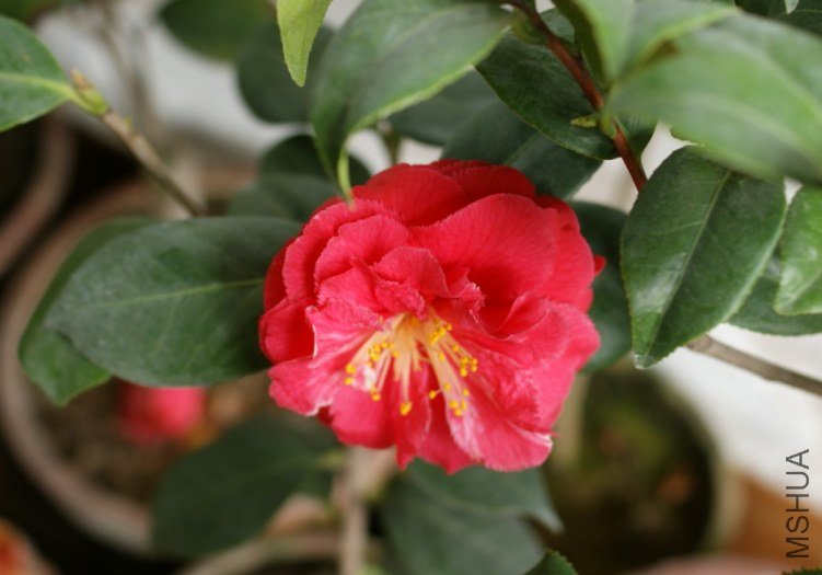 QQ��ͼ20120310211800.jpg