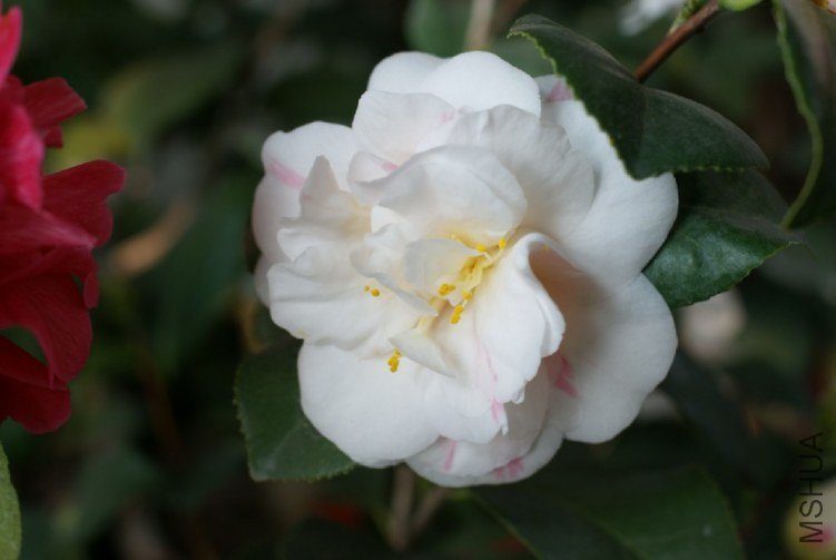 QQ��ͼ20120310211823.jpg