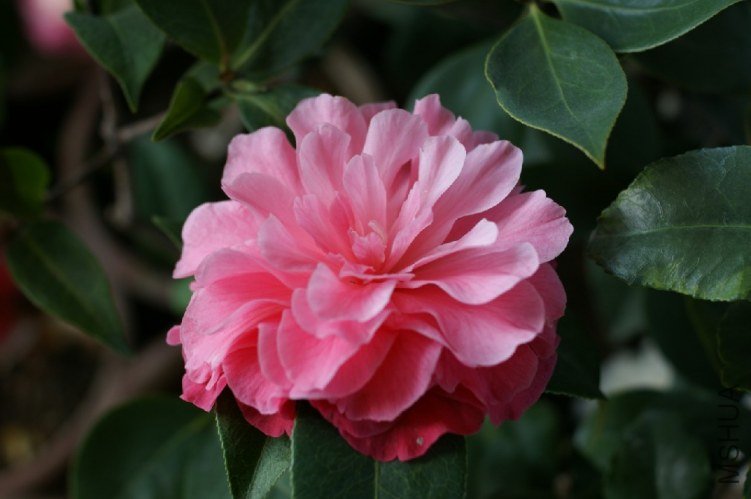 QQ��ͼ20120310211904.jpg