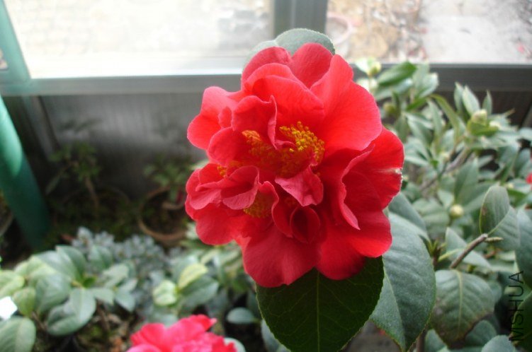 QQ��ͼ20120310214155.jpg