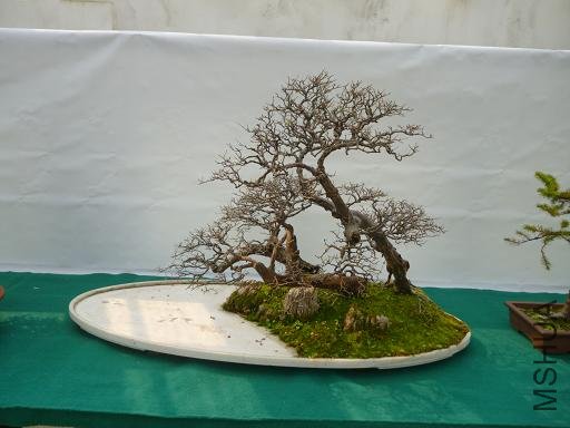 P1000734.JPG