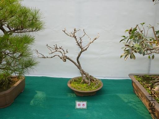 P1000735.JPG