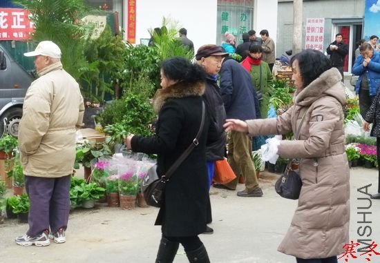 P1030742.jpg