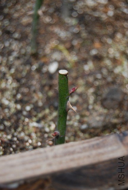 230120sqnjsx727c76ny22.jpg