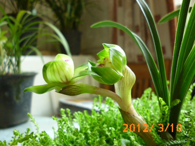 P1000752.JPG