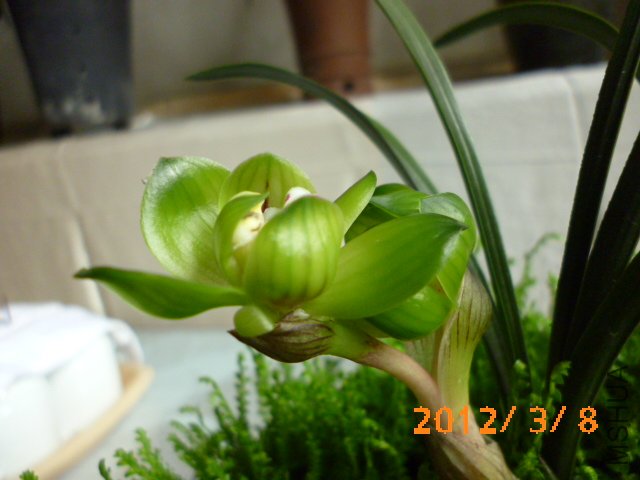 P1000614.JPG