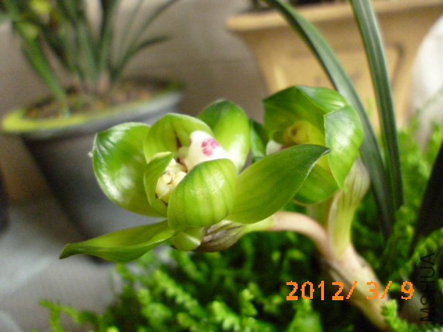 P1000711.JPG