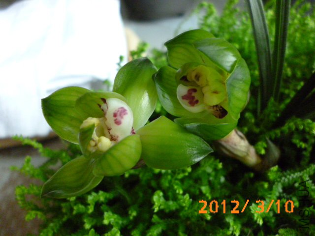 P1000751.JPG