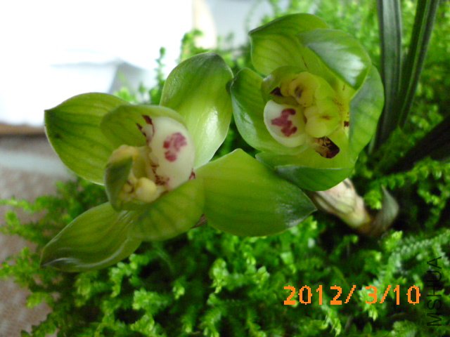 P1000744.JPG