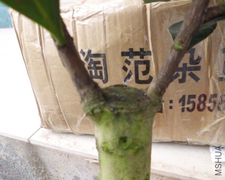 b.jpg