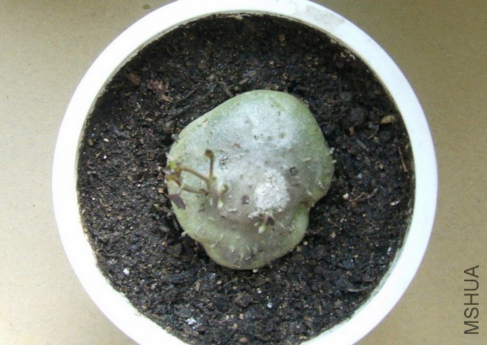 DSCF3000.JPG