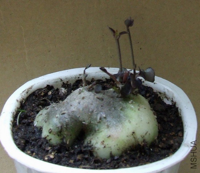 DSCF3004.JPG