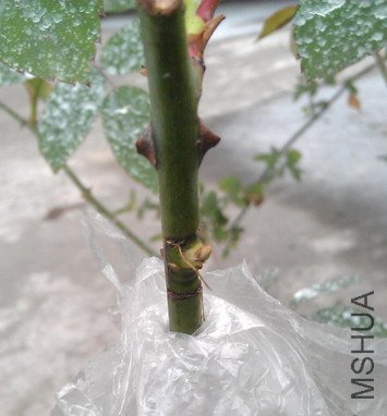 IMAG0626.JPG