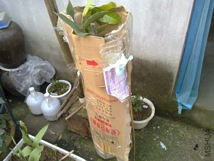 20120310847.jpg