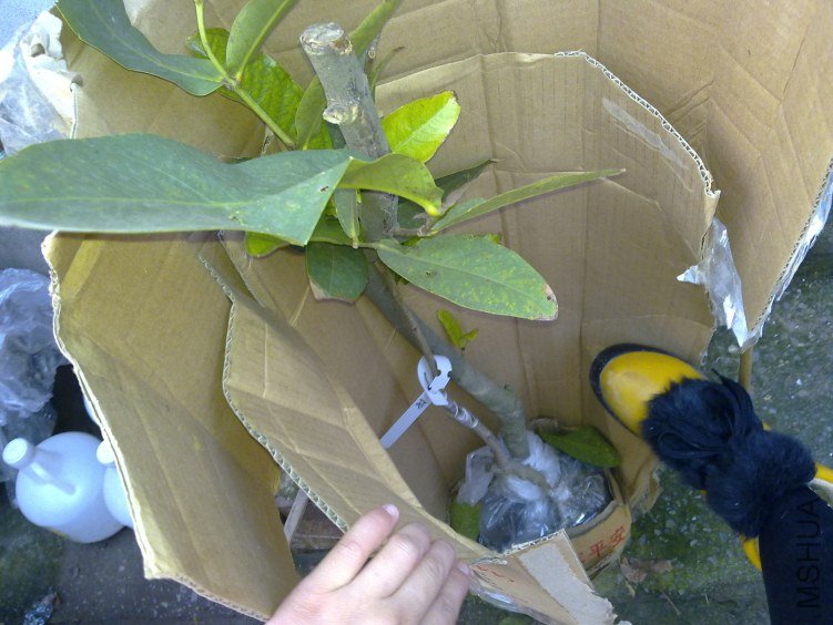 20120310848.jpg
