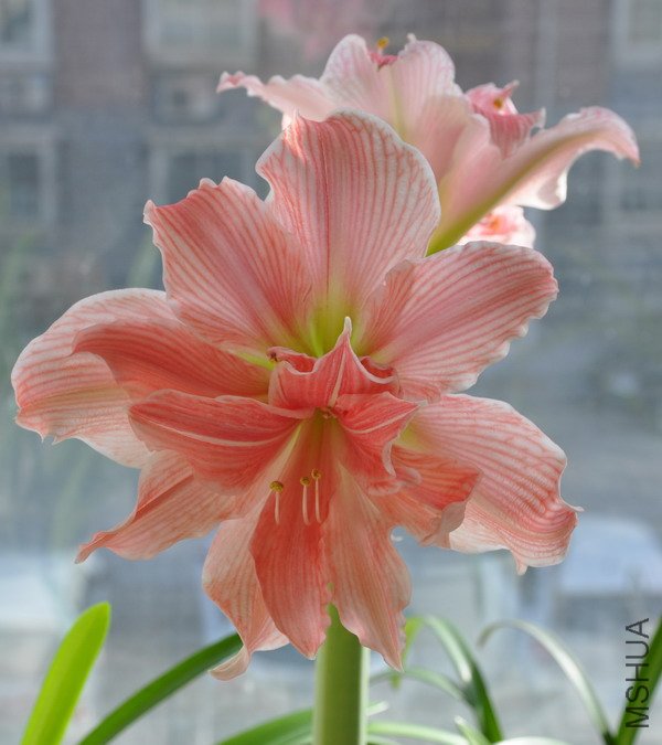 ��Ƭ 058x.jpg