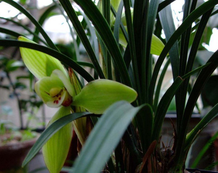 ��Ƭ2012-3-13f 019111.jpg