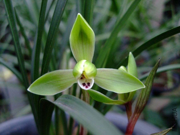 ��Ƭ2012-3-13f 10011.jpg