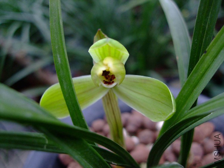 ��Ƭ2012-3-13f 09711.jpg