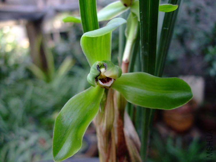 ��Ƭ2012-3-13f 09111.jpg