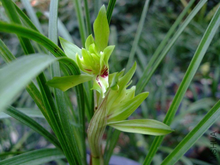 ��Ƭ2012-3-13f 08111.jpg