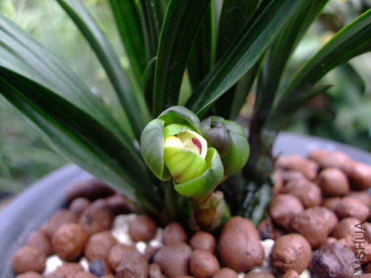 ��Ƭ2012-3-13f 03811.jpg