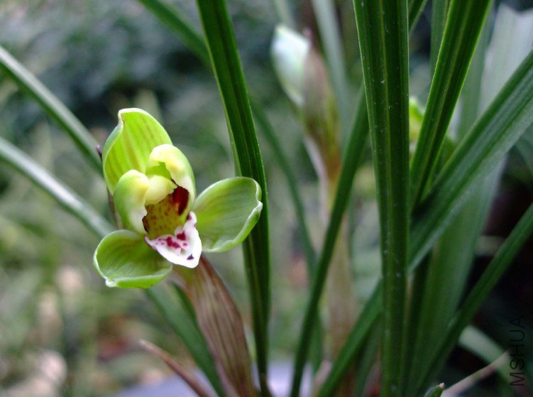 ��Ƭ2012-3-13f 00911.jpg