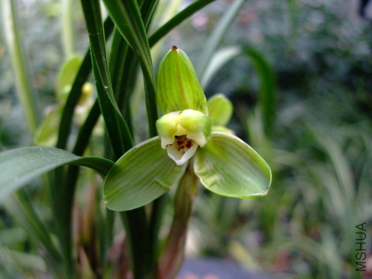 ��Ƭ2012-3-13f 00611.jpg