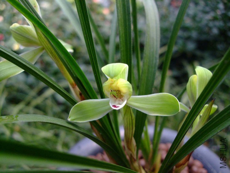 ��Ƭ2012-3-13f 00211.jpg