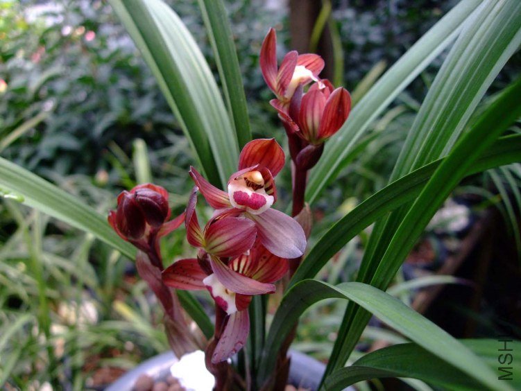 ��Ƭ2012-3-13f 01211.jpg