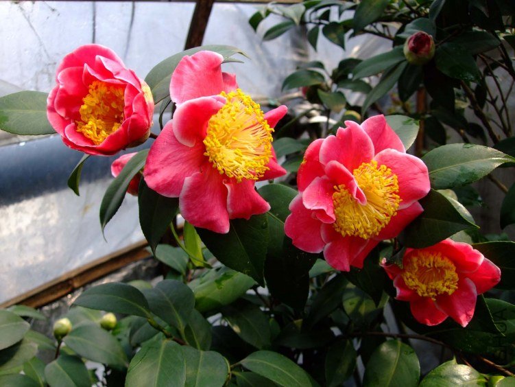 ��˸ 2012-3-13f 058.jpg
