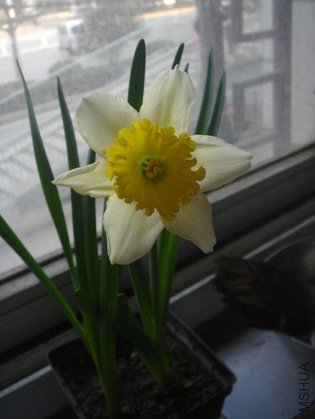 DSC03643.JPG