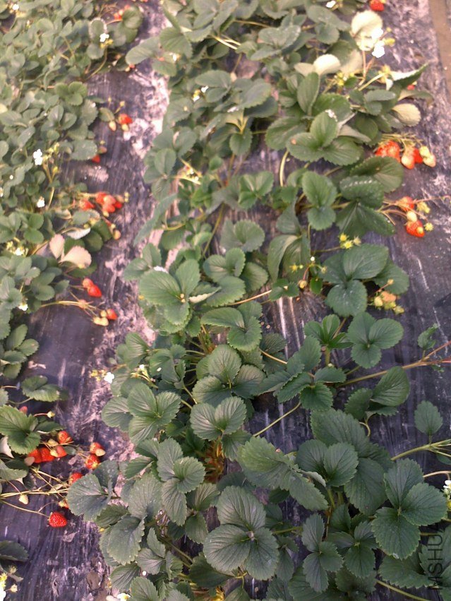 20120219030.jpg