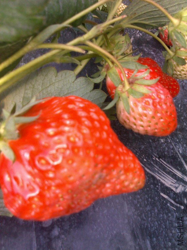20120219031.jpg