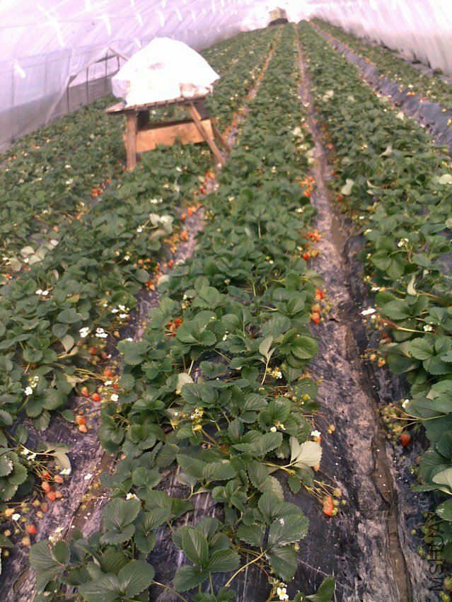 20120219032.jpg
