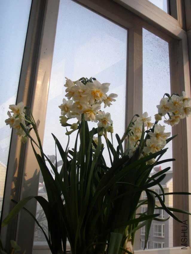 P3100934.JPG